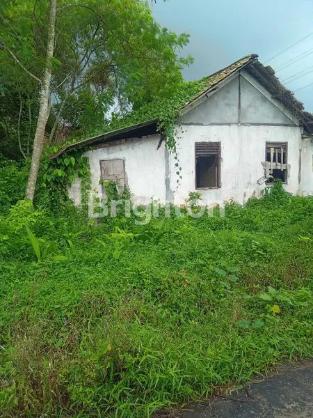 image RUMAH SEDERHANA (2)