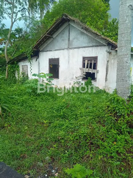 image RUMAH SEDERHANA (3)