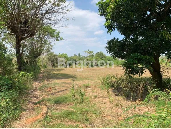 image TANAH STRATEGIS 322 NOL JALAN COCOK UNTUK INVESTASI ATAU USAHA (2)