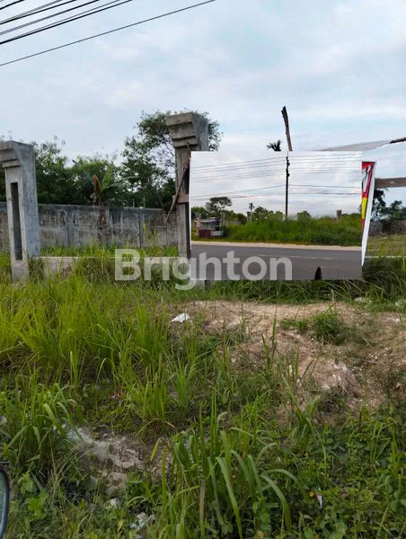 image TANAH LUAS 5000M² DI JL PASIR PUTIH, LINTAS TIMUR (1)