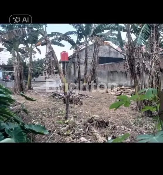 image RUMAH + TANAH LUAS DI JALAN TIRTARIA, WAY KANDIS, BANDAR LAMPUNG (4)
