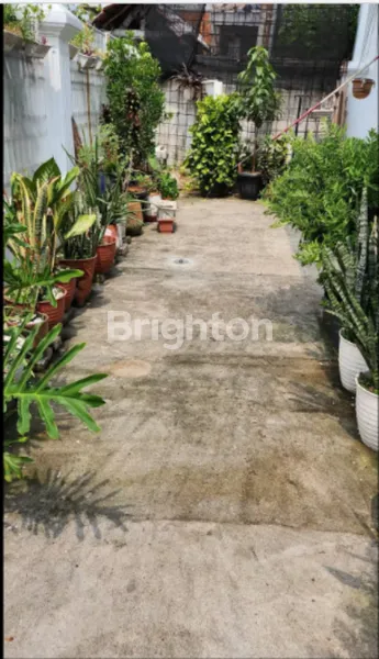 image SIAP HUNI DKT STASIUN KA SENTIONG DAN PASAR JOHAR BARU STRATEGIS SANGAT EKONOMIS JUAL SEGERA (8)