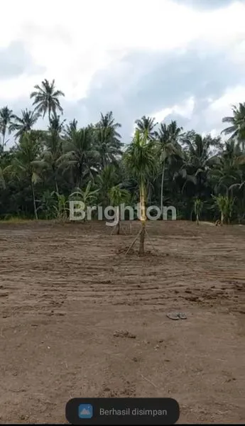 image LAHAN LUAS 42 ARE, SHM & IMB, DEKAT UBUD (6)