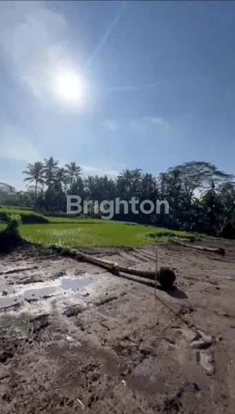 image LAHAN LUAS 42 ARE, SHM & IMB, DEKAT UBUD (3)