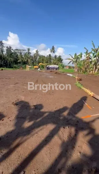 image LAHAN LUAS 42 ARE, SHM & IMB, DEKAT UBUD (5)