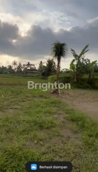 image LAHAN LUAS 42 ARE, SHM & IMB, DEKAT UBUD (1)
