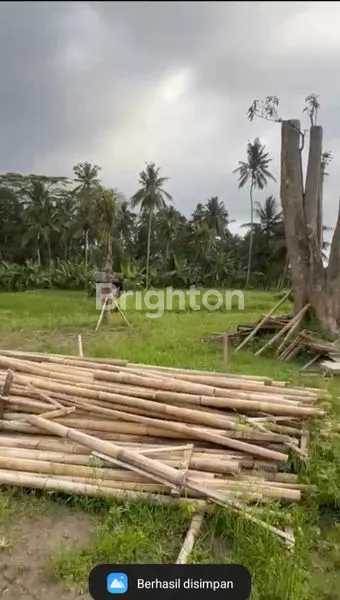 image LAHAN LUAS 42 ARE, SHM & IMB, DEKAT UBUD (2)