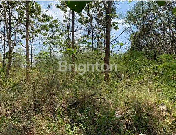 image TANAH STRATEGIS 327 NOL JALAN COCOK UNTUK INVESTASI DAN USAHA (1)