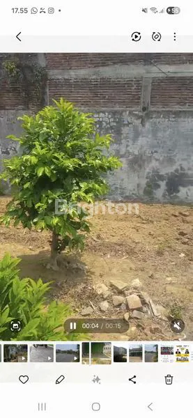 image DIJUAL RUKO & TANAH LUAS DI MADYOPURO MALANG (3)