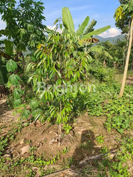 image LAHAN STRATEGIS 25.000M² DI JALAN RAYA CIBOLEGER (3)