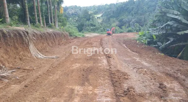 image DIJUAL CEPATAN TANAH LUAS 60 HEKTAR DI NAMORAMBE - MEDAN (4)