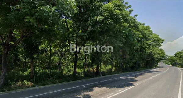 TANAH PEKARANGAN STRATEGIS 204 NOL JALAN COCOK INVESTASI ATAU USAHA