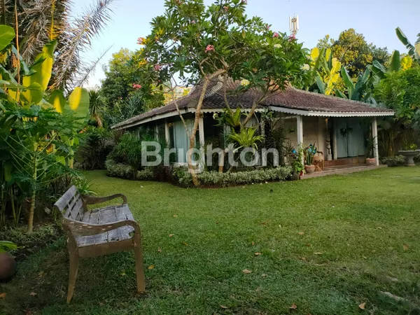 image A VILLA ON SPACIOUS 1100 M2 LAND, JUST 8 MINUTES TO SANUR BEACH (6)