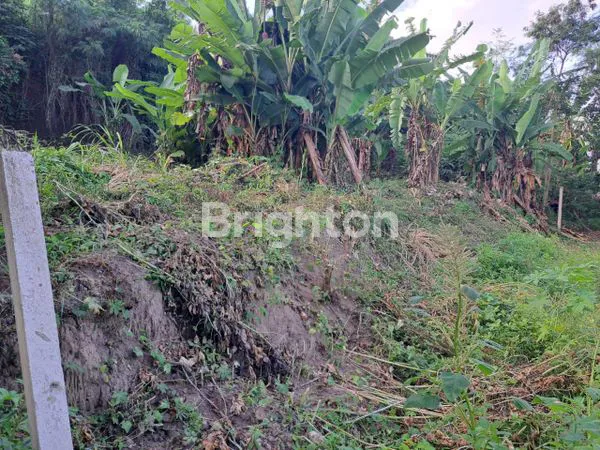 image JUAL TANAH GIANYAR (3)
