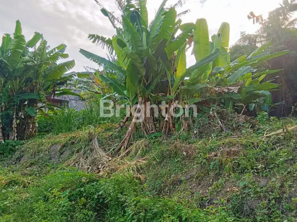 image JUAL TANAH GIANYAR (1)