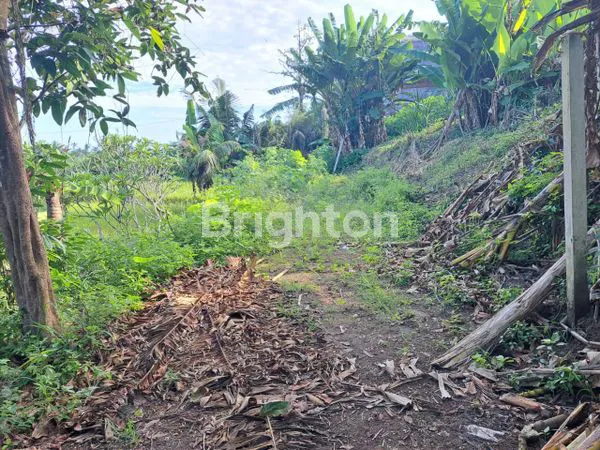 image JUAL TANAH GIANYAR (2)