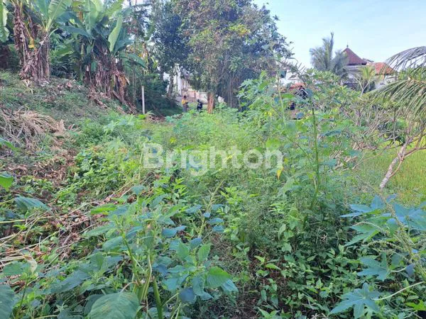 image JUAL TANAH GIANYAR (4)
