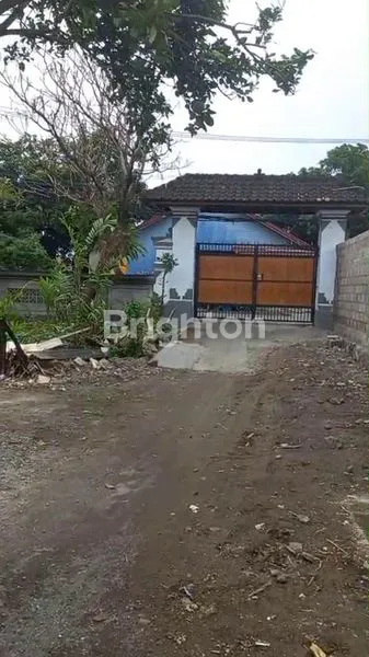 image INVESTASI LANGKA! LAHAN STRATEGIS 6,12 ARE DI JANTUNG KOTA DENPASAR – DEKAT PLAZA RENON (5)