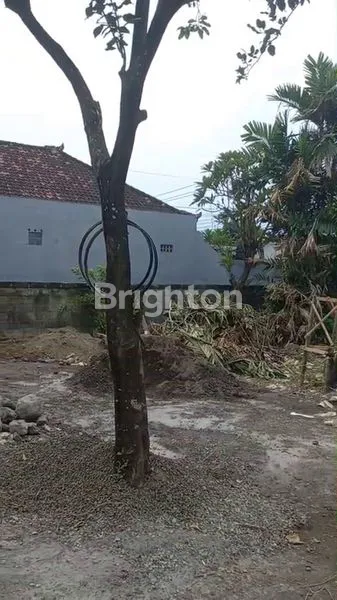 image INVESTASI LANGKA! LAHAN STRATEGIS 6,12 ARE DI JANTUNG KOTA DENPASAR – DEKAT PLAZA RENON (4)