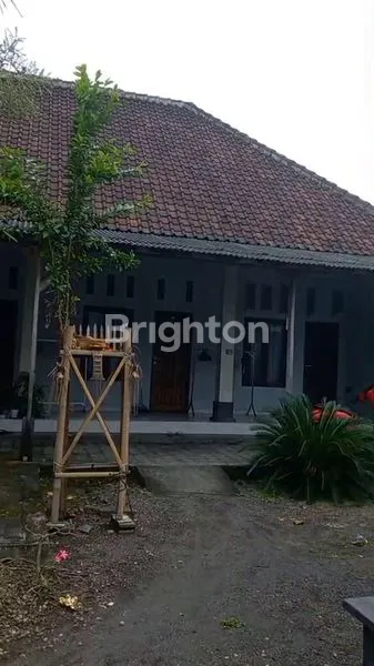 image INVESTASI LANGKA! LAHAN STRATEGIS 6,12 ARE DI JANTUNG KOTA DENPASAR – DEKAT PLAZA RENON (8)