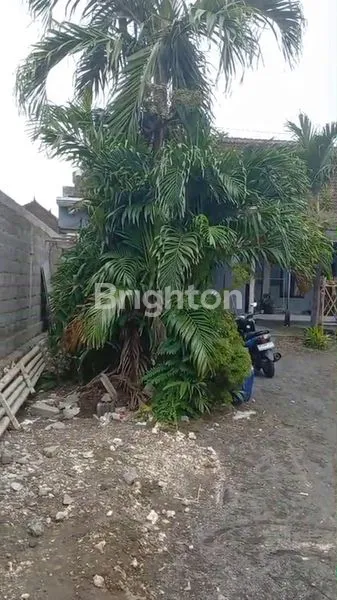 image INVESTASI LANGKA! LAHAN STRATEGIS 6,12 ARE DI JANTUNG KOTA DENPASAR – DEKAT PLAZA RENON (2)