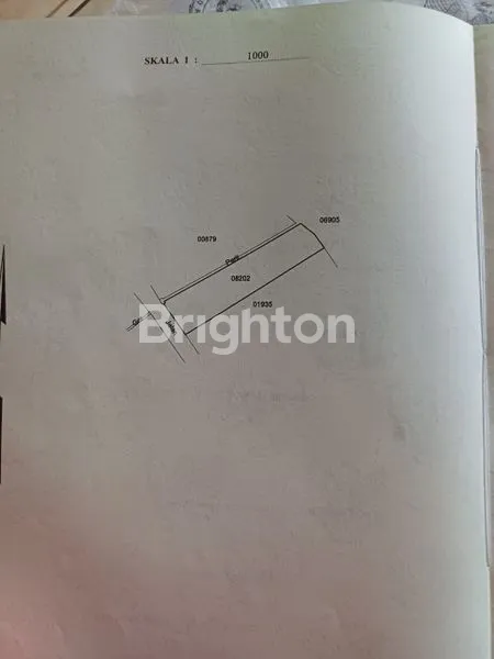 image TANAH 920 M2 DI LOKASI STRATEGIS DI KAWASAN PANTAI SABA GIANYAR BALI (4)