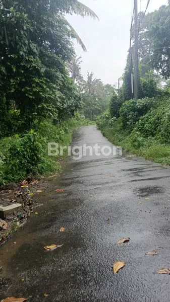 image TANAH 920 M2 DI LOKASI STRATEGIS DI KAWASAN PANTAI SABA GIANYAR BALI (2)