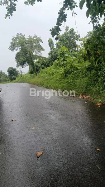 image TANAH 920 M2 DI LOKASI STRATEGIS DI KAWASAN PANTAI SABA GIANYAR BALI (3)