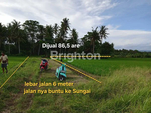 image TANAH DIJUAL 86,50 ARE DEKAT PANTAI PASUT DAN  PANTAI ABIAN KAPAS DI TABANAN BALI (8)
