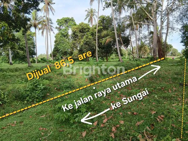 image TANAH DIJUAL 86,50 ARE DEKAT PANTAI PASUT DAN  PANTAI ABIAN KAPAS DI TABANAN BALI (3)