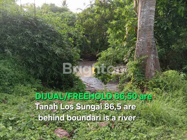 image TANAH DIJUAL 86,50 ARE DEKAT PANTAI PASUT DAN  PANTAI ABIAN KAPAS DI TABANAN BALI (2)