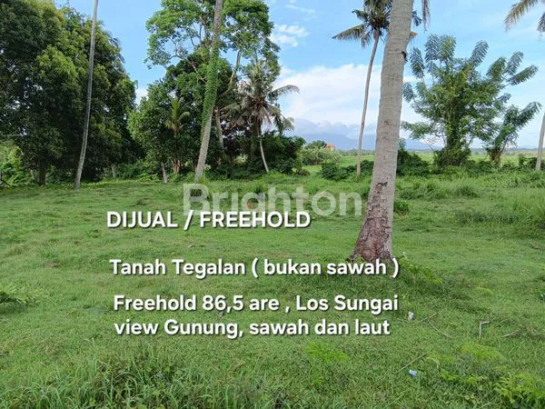 image TANAH DIJUAL 86,50 ARE DEKAT PANTAI PASUT DAN  PANTAI ABIAN KAPAS DI TABANAN BALI (6)