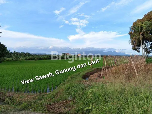 image TANAH DIJUAL 86,50 ARE DEKAT PANTAI PASUT DAN  PANTAI ABIAN KAPAS DI TABANAN BALI (7)