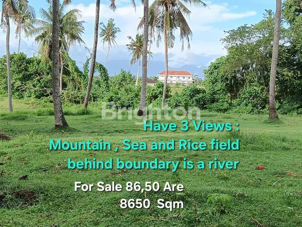 image TANAH DIJUAL 86,50 ARE DEKAT PANTAI PASUT DAN  PANTAI ABIAN KAPAS DI TABANAN BALI (1)