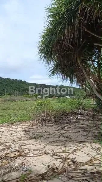 image TANAH EKSKLUSIF DI PANTAI SERENTING, DEKAT SIRKUIT MANDALIKA (5)