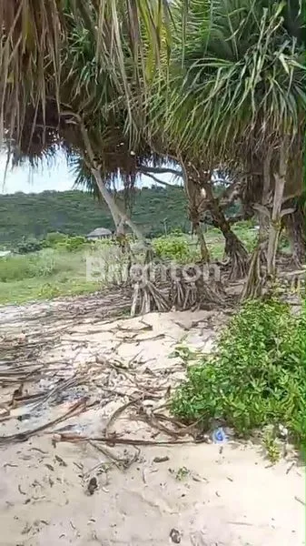 image TANAH EKSKLUSIF DI PANTAI SERENTING, DEKAT SIRKUIT MANDALIKA (4)