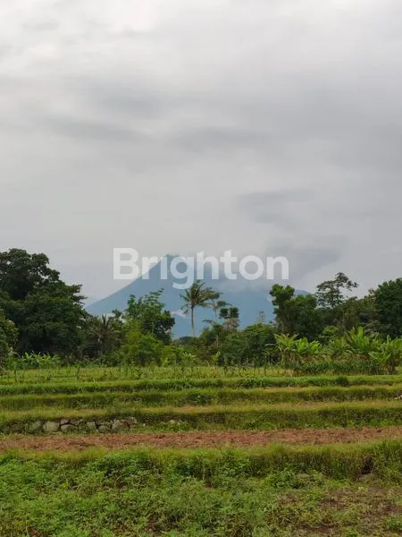 image VILLA PURWOMARTANI DENGAN PRIVATE POOL (7)