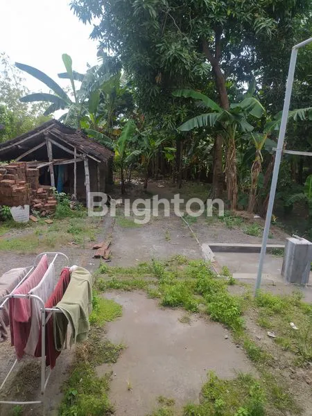 image RUMAH CANTIK DI GAMPENGREJO  (4)