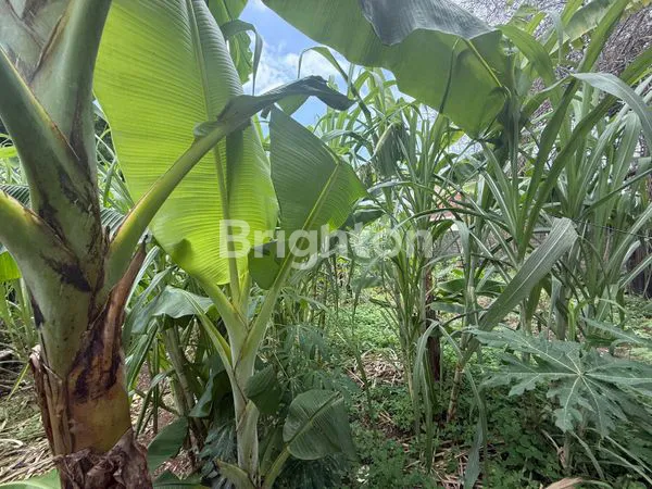 image TANAH STRATEGIS 400M² SHM DI PERUMAHAN KAMPIAL PERMAI (4)