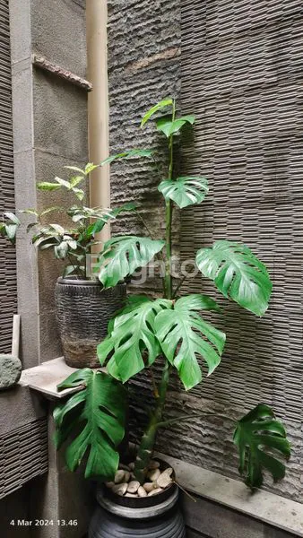 image RUMAH GDC BOULEVARD 3 LANTAI  (8)