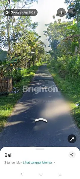 image DIJUAL TANAH POTENSIAL – TARO TEGALALANG, UBUD (3)