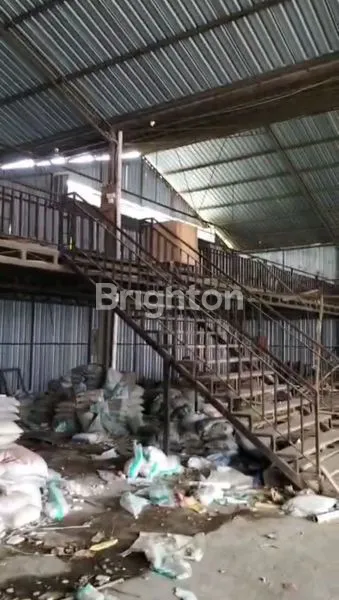 image UDANG BAJA BESAR KAWASAN KUTA UTARA (2)