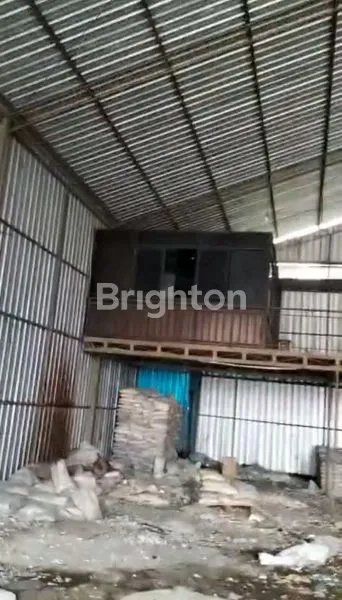 image UDANG BAJA BESAR KAWASAN KUTA UTARA (4)