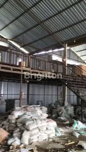 image UDANG BAJA BESAR KAWASAN KUTA UTARA (5)