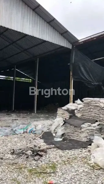 image UDANG BAJA BESAR KAWASAN KUTA UTARA (3)