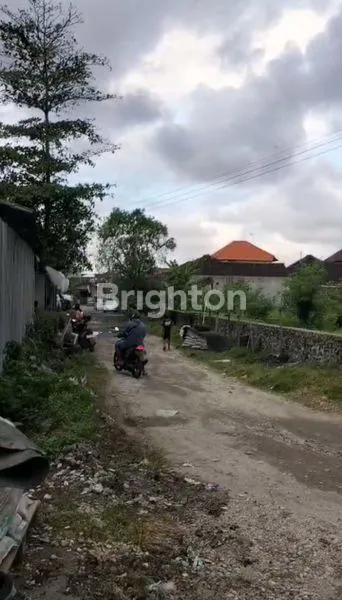 image UDANG BAJA BESAR KAWASAN KUTA UTARA (8)