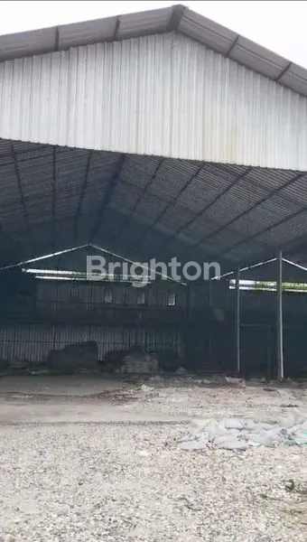 image UDANG BAJA BESAR KAWASAN KUTA UTARA (1)