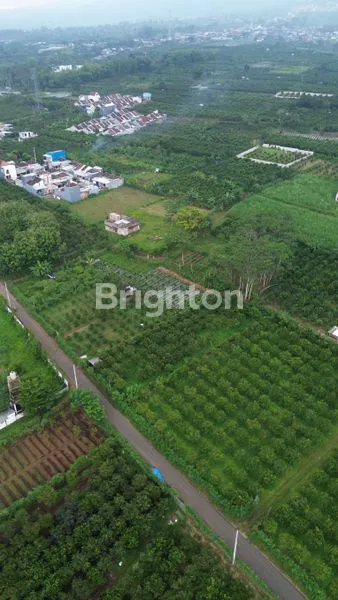 image DI JUAL CEPAT BU POLL TANAH PEKARANGAN PROSPEK KOS DAN INVESTASI, DEKAT PONDOK INTERNASIONAL, RS , UNMUH MALANG (4)