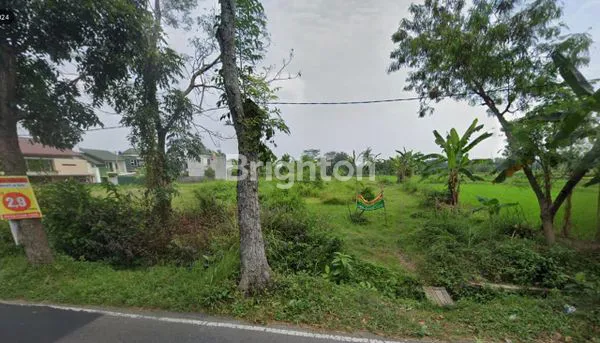 image TANAH SHM 1.054 M² LD 26 M – BISA BELI PER SERTIFIKAT / BORONGAN – DEKAT SLEMAN CITY HALL (7)