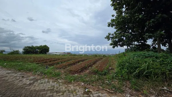 image JUAL/SEWA TANAH STRATEGIS SIAP BANGUN VIEW INDAH PEGUNUNGAN DI JOYOAGUNG MALANG (4)